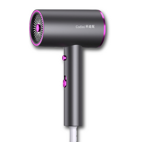 Secador de Cabelo Portátil com Alta Potência e Luz Azul Anion